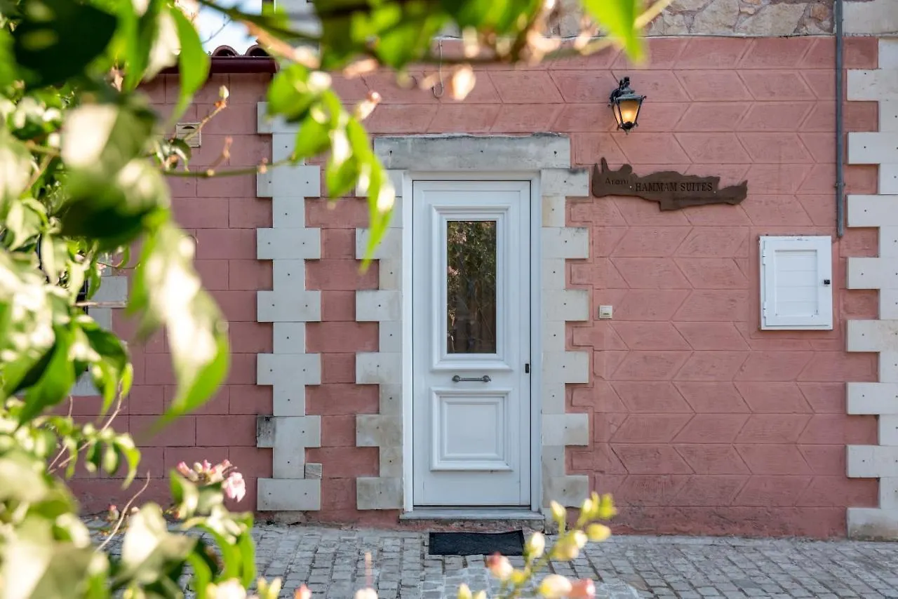 Aroni Cretan Comfortable House - Hamam Suites Aroni Apartment Aronion
